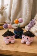 Potted Plants